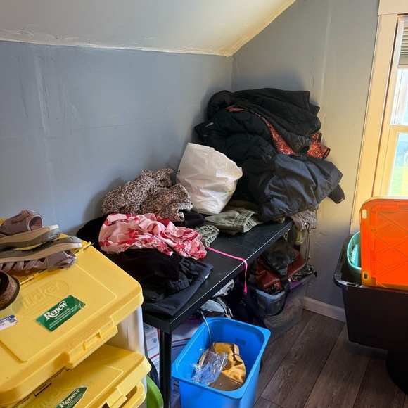 ALERT ALL RESELLERS. Loach pick up only - Picture 13 of 14